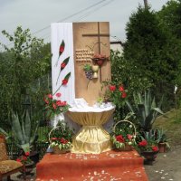 IMG_7294