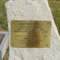 DSC0229011