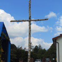 DSC02320