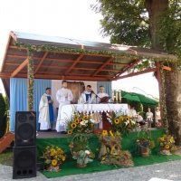 DSC04917
