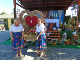 Odpust Parafialny - Nienaszów 15.08.2026