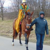 DSC02833