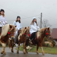 Orszak Trzech Króli - Parafia Nienaszów