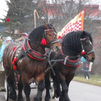 Orszak Trzech Króli - Parafia Nienaszów