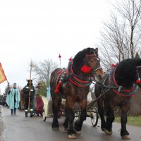 Orszak Trzech Króli - Parafia Nienaszów