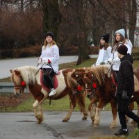 Orszak Trzech Króli - Parafia Nienaszów