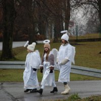 Orszak Trzech Króli - Parafia Nienaszów