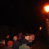 DSC00540