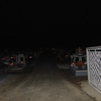 DSC00548